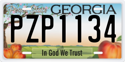 GA license plate PZP1134
