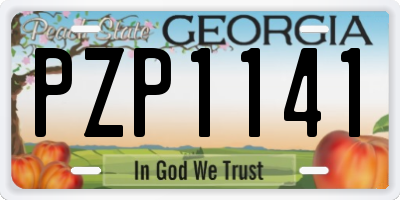 GA license plate PZP1141