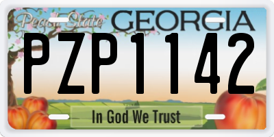 GA license plate PZP1142