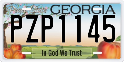 GA license plate PZP1145