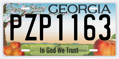 GA license plate PZP1163
