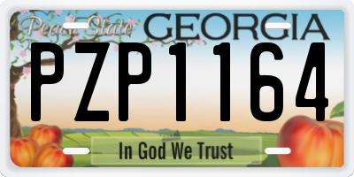 GA license plate PZP1164