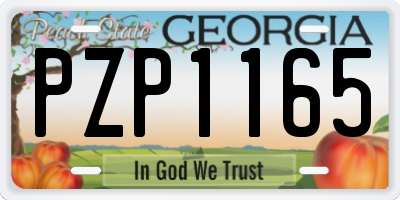 GA license plate PZP1165