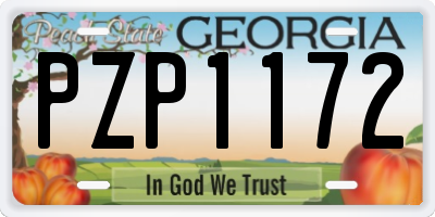 GA license plate PZP1172