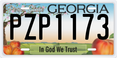 GA license plate PZP1173