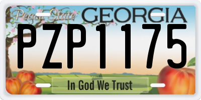 GA license plate PZP1175