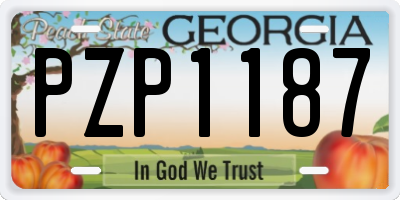 GA license plate PZP1187