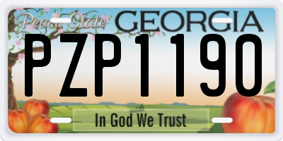 GA license plate PZP1190