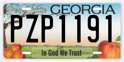 GA license plate PZP1191