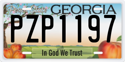 GA license plate PZP1197
