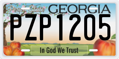 GA license plate PZP1205