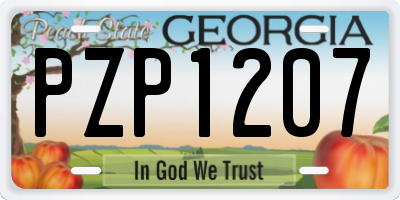 GA license plate PZP1207