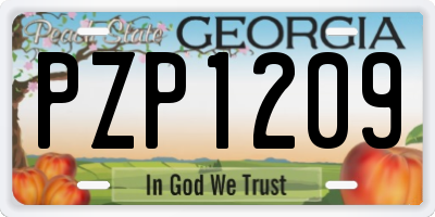 GA license plate PZP1209