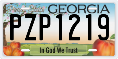 GA license plate PZP1219