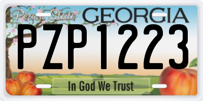 GA license plate PZP1223