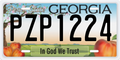 GA license plate PZP1224