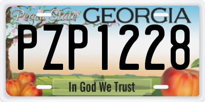 GA license plate PZP1228