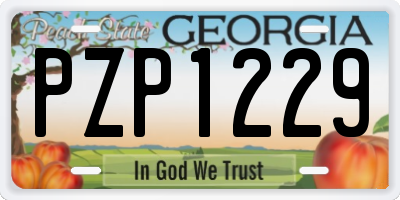 GA license plate PZP1229