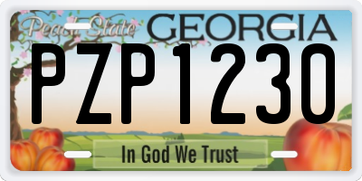 GA license plate PZP1230