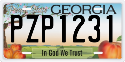 GA license plate PZP1231