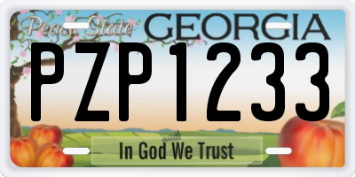 GA license plate PZP1233