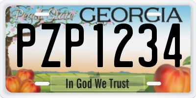 GA license plate PZP1234