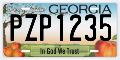 GA license plate PZP1235
