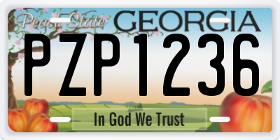 GA license plate PZP1236