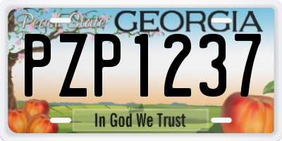 GA license plate PZP1237