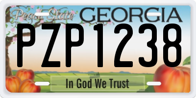 GA license plate PZP1238