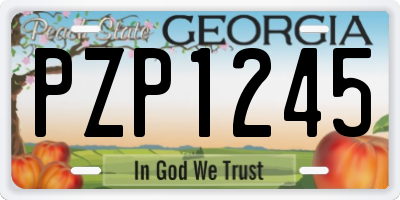 GA license plate PZP1245