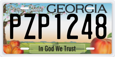 GA license plate PZP1248