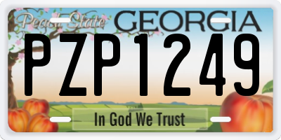 GA license plate PZP1249