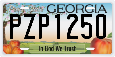GA license plate PZP1250