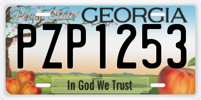 GA license plate PZP1253