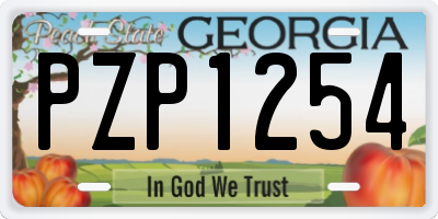 GA license plate PZP1254