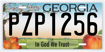 GA license plate PZP1256