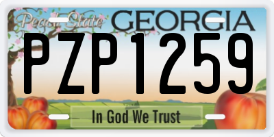 GA license plate PZP1259
