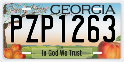 GA license plate PZP1263