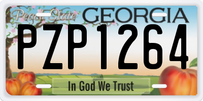 GA license plate PZP1264