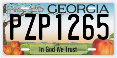 GA license plate PZP1265