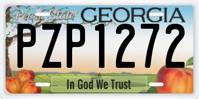 GA license plate PZP1272
