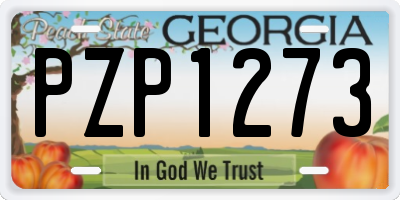 GA license plate PZP1273
