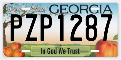 GA license plate PZP1287