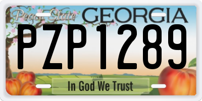 GA license plate PZP1289