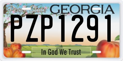 GA license plate PZP1291