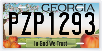 GA license plate PZP1293