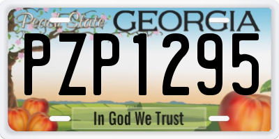 GA license plate PZP1295