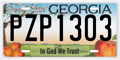 GA license plate PZP1303