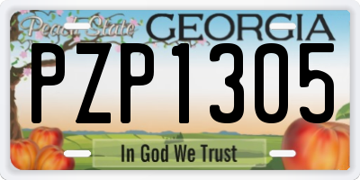 GA license plate PZP1305